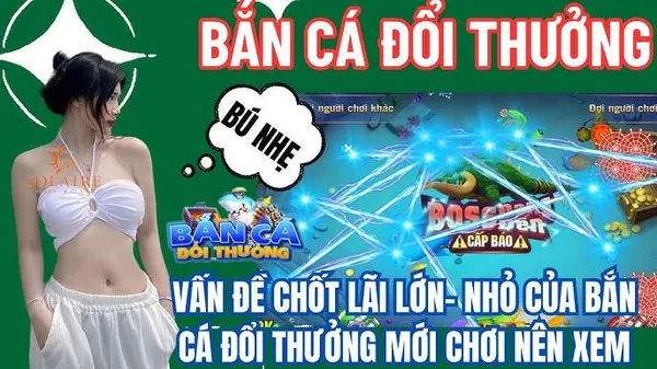 game bài cào - Bài cào Vây cá